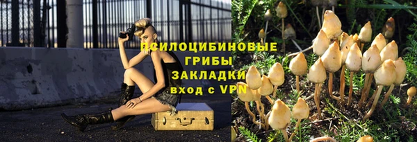 ГАЛЛЮЦИНОГЕННЫЕ ГРИБЫ Алексеевка