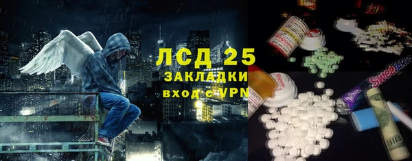 шишки Киренск